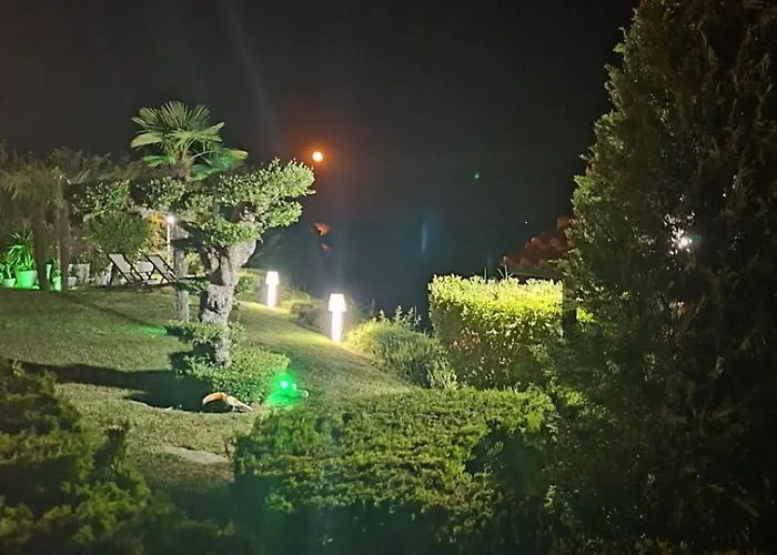 роял палм студио 99