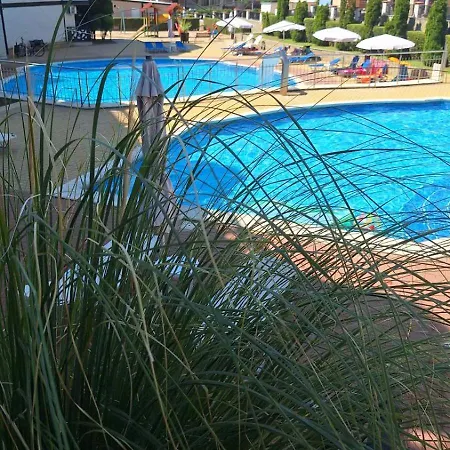 Apartment роял палм студио 99 *