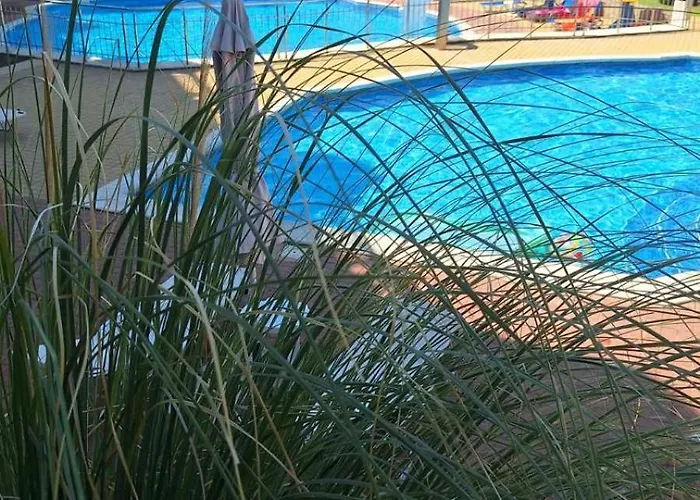 Appartamento роял палм студио 99 *